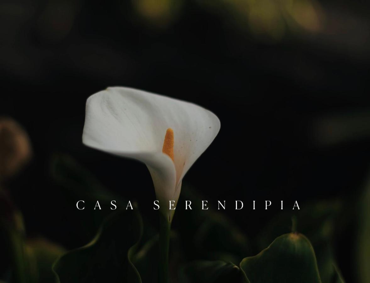 Casa Serendipia La Asomada  Εξωτερικό φωτογραφία